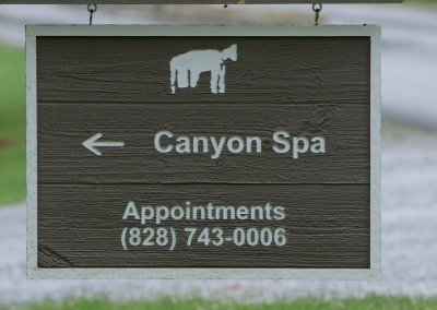 spa video marketing